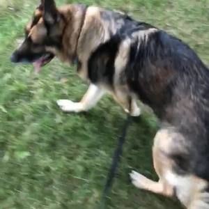 Meet your Posher, Khalil